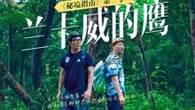 调兵遣将飞机打击