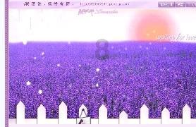 详解玄空飞星，运盘，三元九运，一学就会：雷天大壮易游戏画面