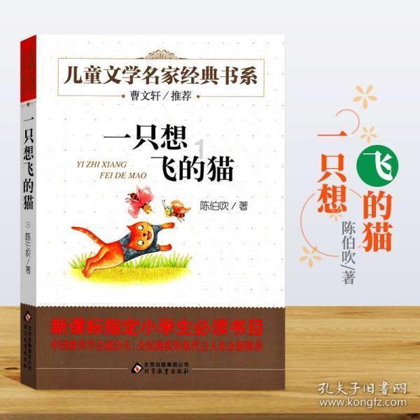 逃离阴暗的房屋
