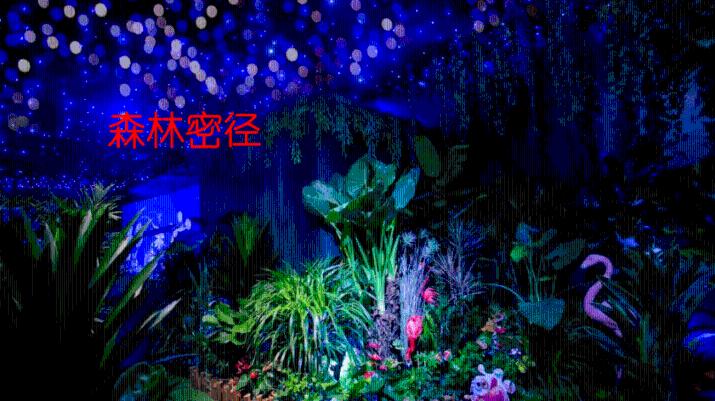 小猫钓鱼游戏龙王版有船